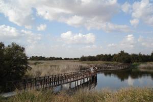 Tablas Daimiel-octubre 2011