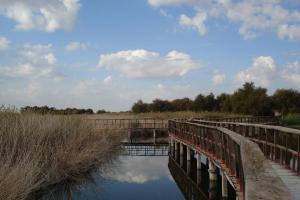 Tablas Daimiel-octubre 2011