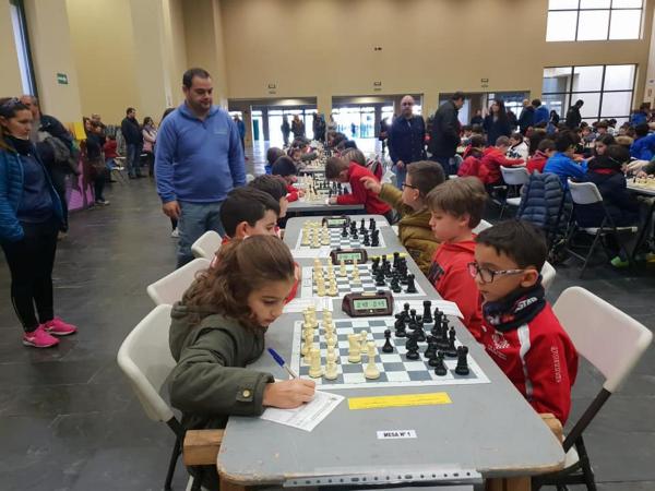 Campeonato Provincial Ajedrez Deporte Edad Escolar-2019-01-15-fuente imagenes Club Ajedrez Miguelturra-011