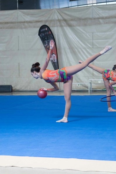 campeonato provincial Gimnasia Ritmica-Puertollano-2016-04-03-fuente CDE Volaverunt-28