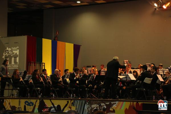 Concierto Banda Sinfonica Juvenil Santa Cecilia-2015-12-12-fuente Area de Comunicación Municipal-009