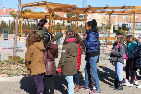 Visita a la remodelacion del Parque del Quijote de Miguelturra-febrero 2015-fuente Area Comunicacion Municipal-06