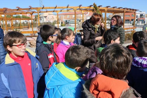 Visita a la remodelacion del Parque del Quijote de Miguelturra-febrero 2015-fuente Area Comunicacion Municipal-15