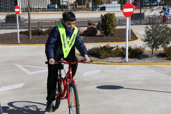 Visita a la remodelacion del Parque del Quijote de Miguelturra-febrero 2015-fuente Area Comunicacion Municipal-84