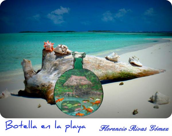 florencio rivas gomez - Botella en la playa
