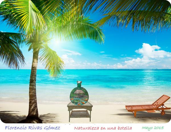 florencio rivas gomez - Playa del caribe con amaca_mesa_botella_y_peces de colores