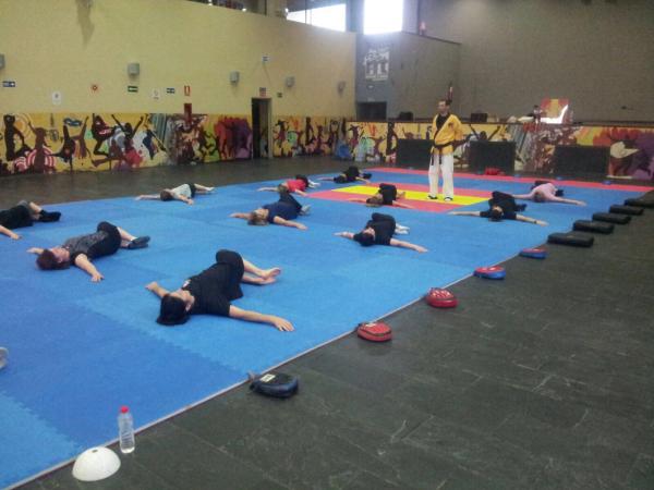 exhibicion artes marciales-jornadas participantes Universidad Popular-junio2017-05