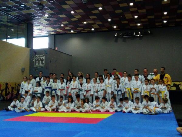 exhibicion artes marciales-jornadas participantes Universidad Popular-junio2017-13