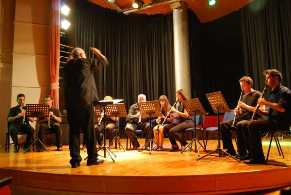 Audiciones Escuela Musica Miguelturra curso 2013-2014-Fuente Esmeralda Muñoz Sanchez-12