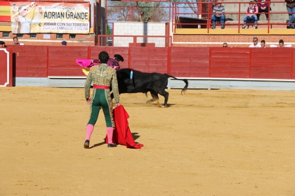 Festival Taurino en Miguelturra-2015-04-16-fuente Area Comunicacion Municipal-059