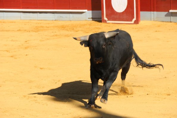 Festival Taurino en Miguelturra-2015-04-16-fuente Area Comunicacion Municipal-064