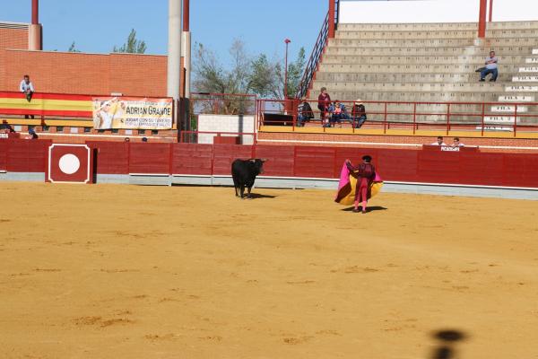 Festival Taurino en Miguelturra-2015-04-16-fuente Area Comunicacion Municipal-072