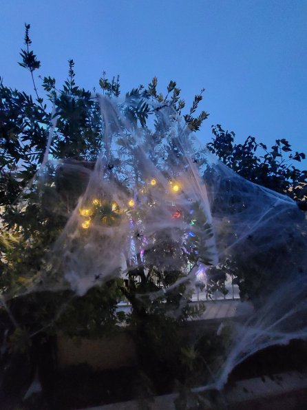 IIConcursoCasasTerrorificas-Miguelturra-Nov-2025-23