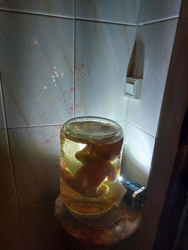 IIConcursoCasasTerrorificas-Miguelturra-Nov-2025-41