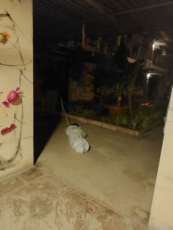 IIConcursoCasasTerrorificas-Miguelturra-Nov-2025-63