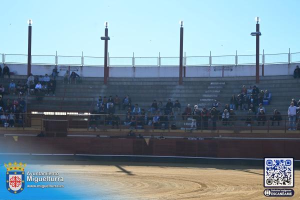 novilladamarzo20261-Fuente imagen Area Comunicación Ayuntamiento de Miguelturra-020