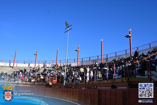 novilladamarzo20261-Fuente imagen Area Comunicación Ayuntamiento de Miguelturra-022