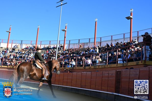 novilladamarzo20261-Fuente imagen Area Comunicación Ayuntamiento de Miguelturra-034