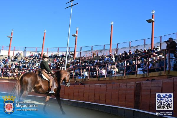 novilladamarzo20261-Fuente imagen Area Comunicación Ayuntamiento de Miguelturra-034