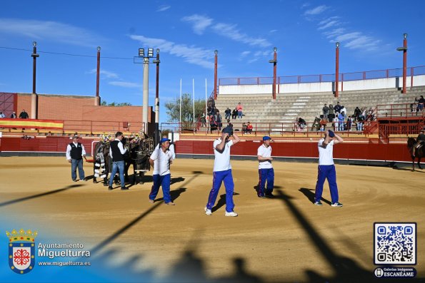 novilladamarzo20261-Fuente imagen Area Comunicación Ayuntamiento de Miguelturra-047