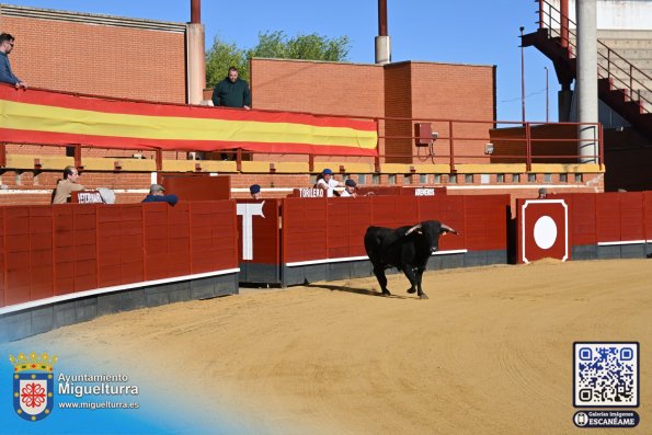 novilladamarzo20262-Fuente imagen Area Comunicación Ayuntamiento de Miguelturra-002