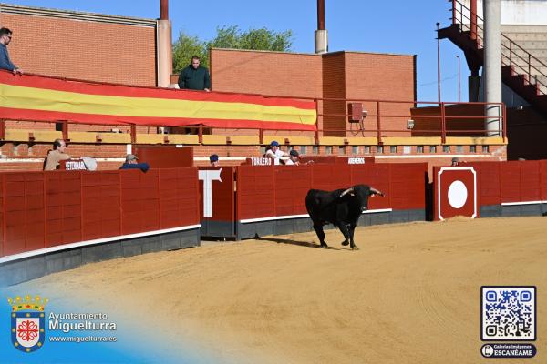 novilladamarzo20262-Fuente imagen Area Comunicación Ayuntamiento de Miguelturra-002