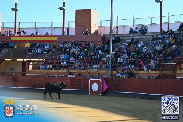 novilladamarzo20262-Fuente imagen Area Comunicación Ayuntamiento de Miguelturra-003