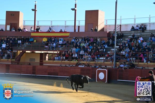 novilladamarzo20262-Fuente imagen Area Comunicación Ayuntamiento de Miguelturra-006
