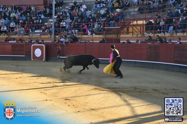 novilladamarzo20262-Fuente imagen Area Comunicación Ayuntamiento de Miguelturra-007