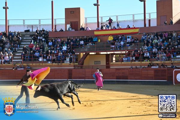 novilladamarzo20262-Fuente imagen Area Comunicación Ayuntamiento de Miguelturra-012