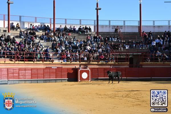 novilladamarzo20262-Fuente imagen Area Comunicación Ayuntamiento de Miguelturra-014