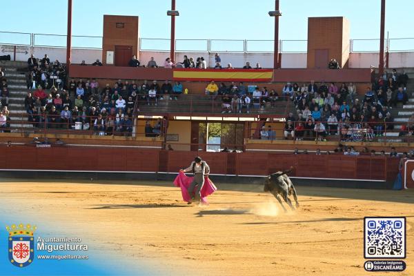 novilladamarzo20262-Fuente imagen Area Comunicación Ayuntamiento de Miguelturra-017