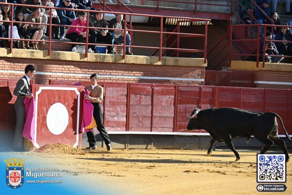 novilladamarzo20262-Fuente imagen Area Comunicación Ayuntamiento de Miguelturra-018