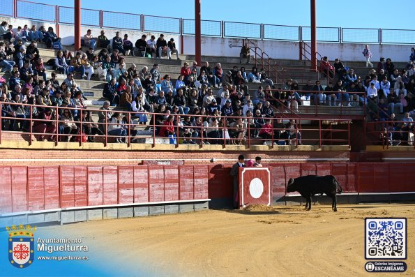 novilladamarzo20262-Fuente imagen Area Comunicación Ayuntamiento de Miguelturra-020