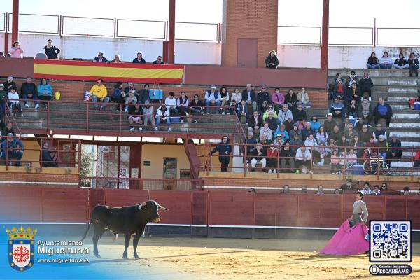 novilladamarzo20262-Fuente imagen Area Comunicación Ayuntamiento de Miguelturra-023