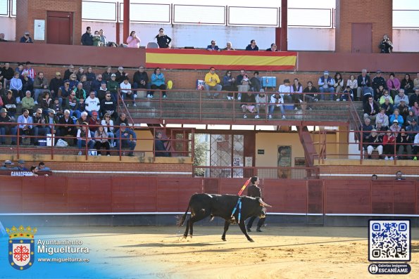 novilladamarzo20262-Fuente imagen Area Comunicación Ayuntamiento de Miguelturra-030