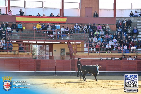 novilladamarzo20262-Fuente imagen Area Comunicación Ayuntamiento de Miguelturra-031