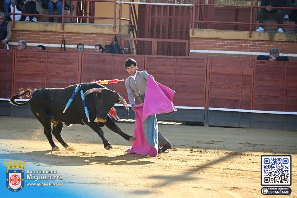 novilladamarzo20262-Fuente imagen Area Comunicación Ayuntamiento de Miguelturra-033