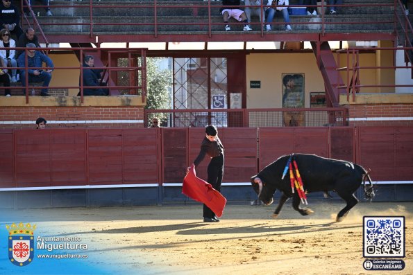 novilladamarzo20262-Fuente imagen Area Comunicación Ayuntamiento de Miguelturra-036