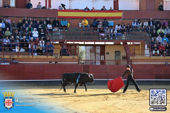 novilladamarzo20262-Fuente imagen Area Comunicación Ayuntamiento de Miguelturra-038
