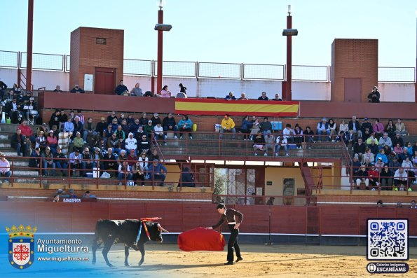 novilladamarzo20262-Fuente imagen Area Comunicación Ayuntamiento de Miguelturra-041