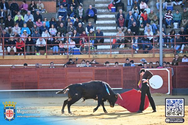 novilladamarzo20262-Fuente imagen Area Comunicación Ayuntamiento de Miguelturra-043