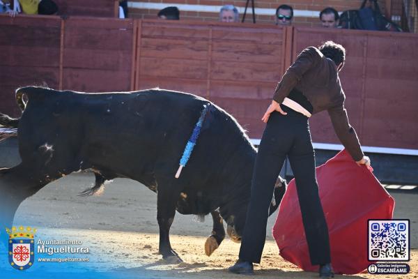 novilladamarzo20262-Fuente imagen Area Comunicación Ayuntamiento de Miguelturra-044