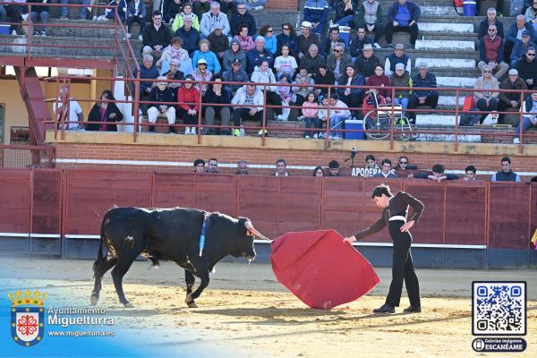 novilladamarzo20262-Fuente imagen Area Comunicación Ayuntamiento de Miguelturra-050