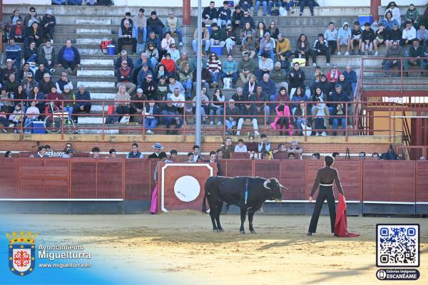 novilladamarzo20262-Fuente imagen Area Comunicación Ayuntamiento de Miguelturra-059