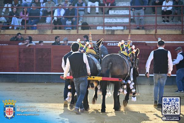 novilladamarzo20262-Fuente imagen Area Comunicación Ayuntamiento de Miguelturra-068