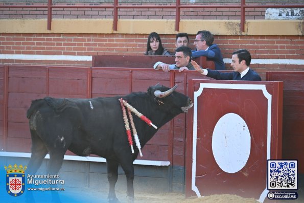 novilladamarzo20262-Fuente imagen Area Comunicación Ayuntamiento de Miguelturra-079