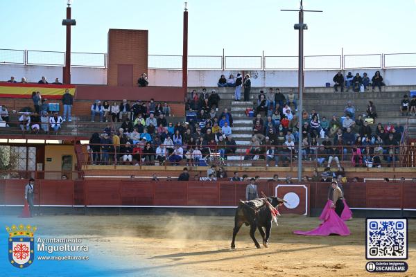novilladamarzo20262-Fuente imagen Area Comunicación Ayuntamiento de Miguelturra-080