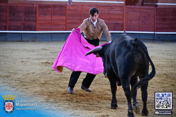 novilladamarzo20262-Fuente imagen Area Comunicación Ayuntamiento de Miguelturra-095