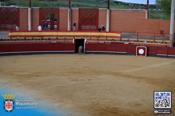 novilladamarzo20262-Fuente imagen Area Comunicación Ayuntamiento de Miguelturra-108